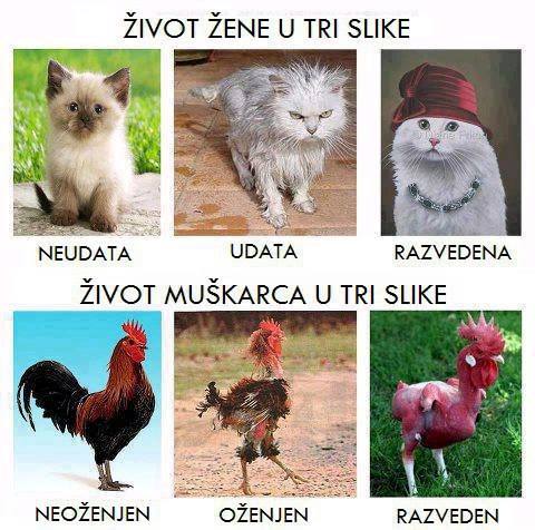 zivot