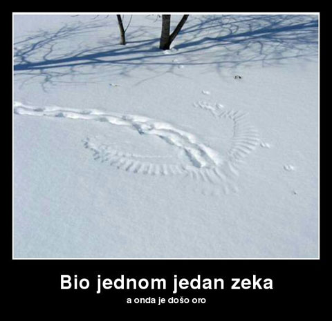 bio-jednom-jedan-zeka