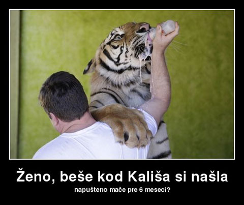 zeno-bese-kod-kalisa-