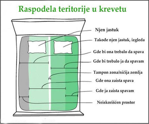 krevetografija