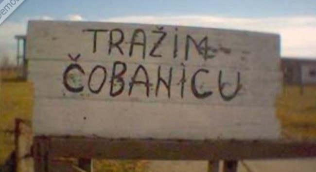 trazim