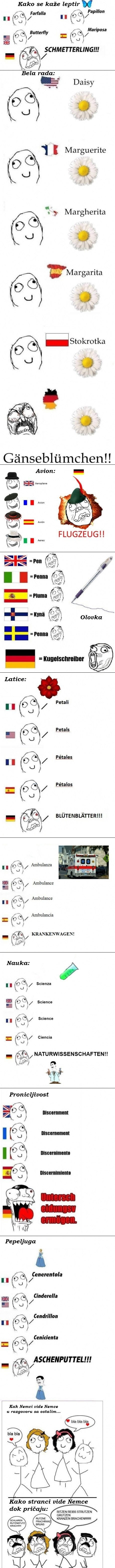 nemacki-jezik-razlika