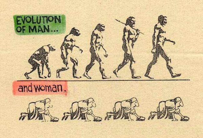 evolucija