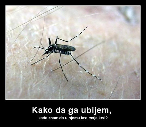 kako-da-ga-ubijem