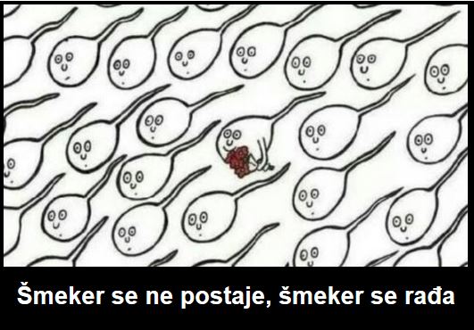 smeker