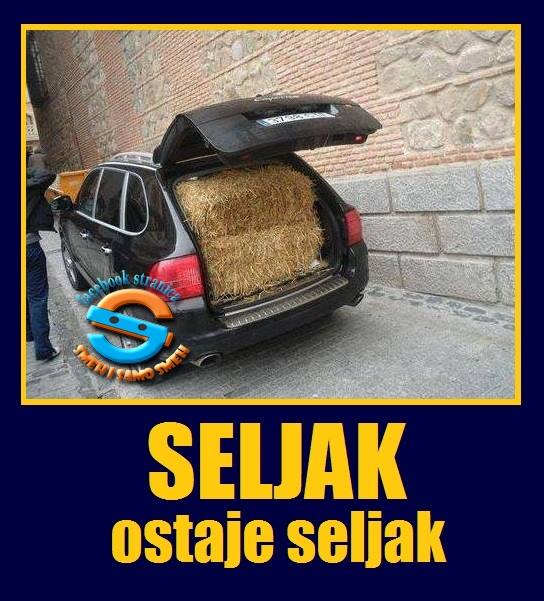 seljak