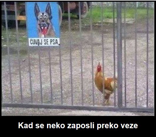 veze