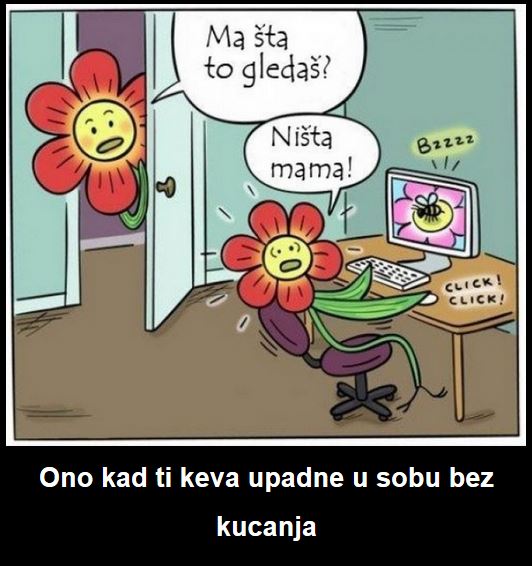 kucanja