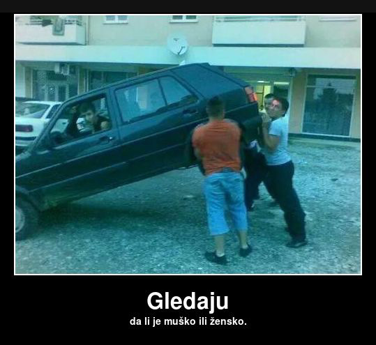 gledaju