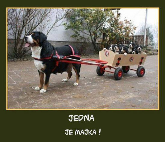 jedna