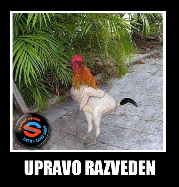 razveden