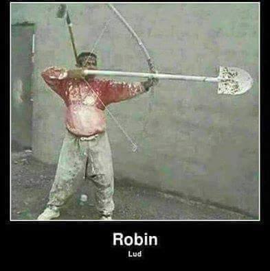 robin