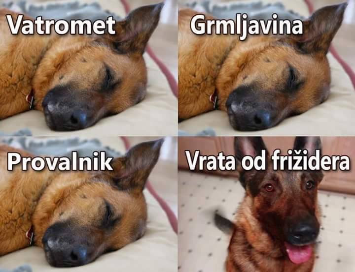 vrata