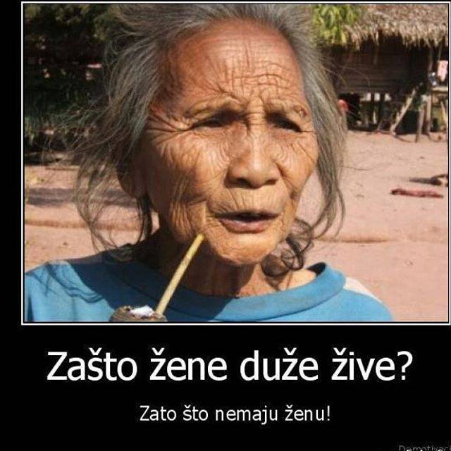 zasto