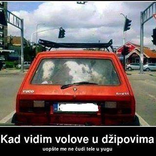 vidim