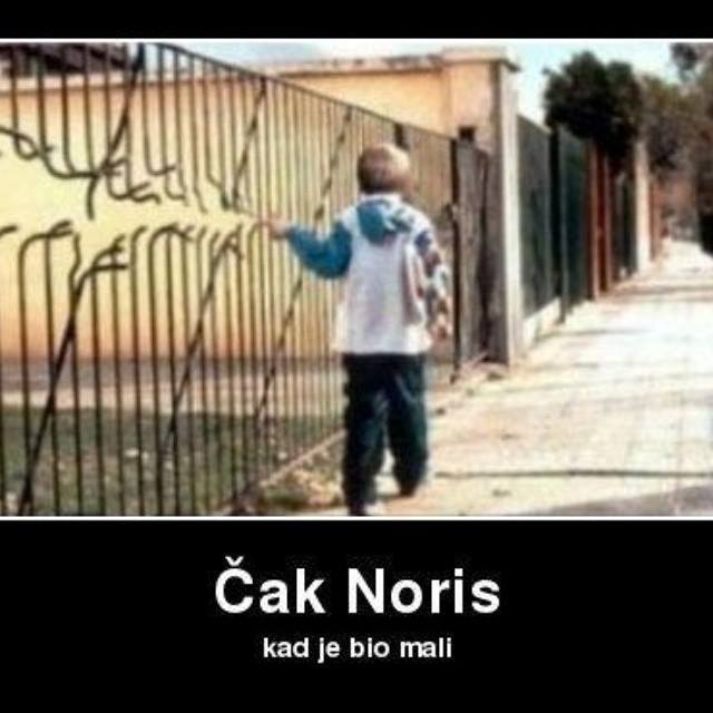 noris