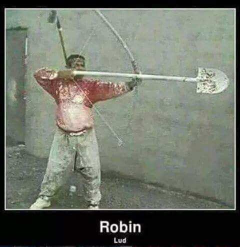 robin