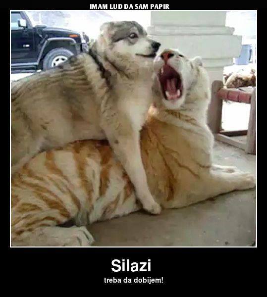 silazi