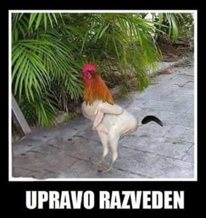 upravo