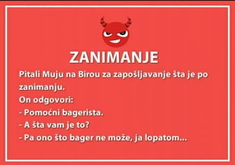 zanimanje