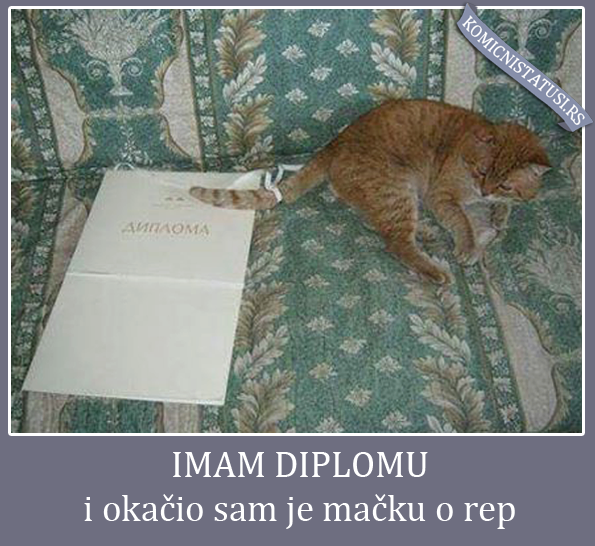 diplomu