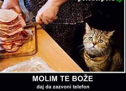 molim