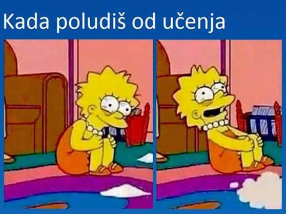 poludis