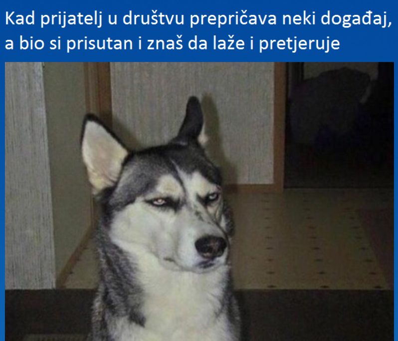 drustvu