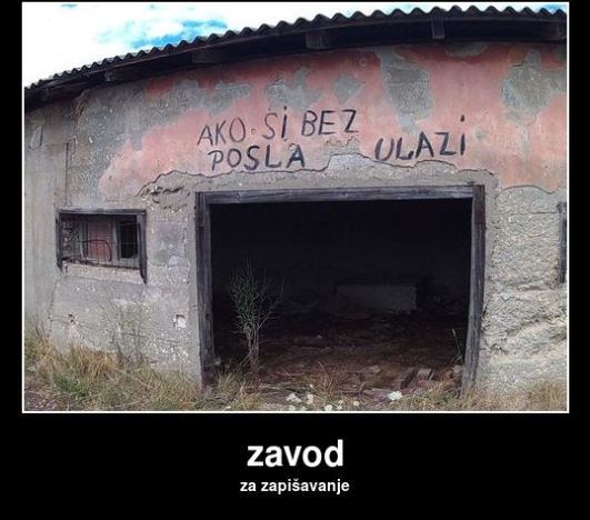 zavod